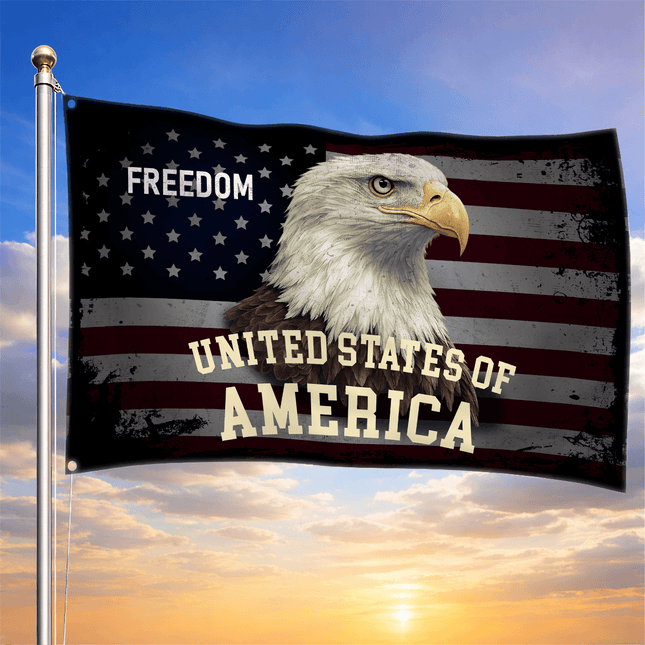 Vintage Freedom Bald Eagle American House Flag