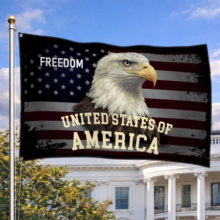 SP-01 Bald Eagle American Flag Hope and Liberty Presidents Day