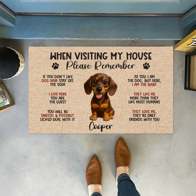 Personalized Dog Doormat, Custom Dog Doormat, Dog Funny Doormat, Welcome Mat, Personalized Doormat Gifts, When Visiting My House Mat - Charming Present