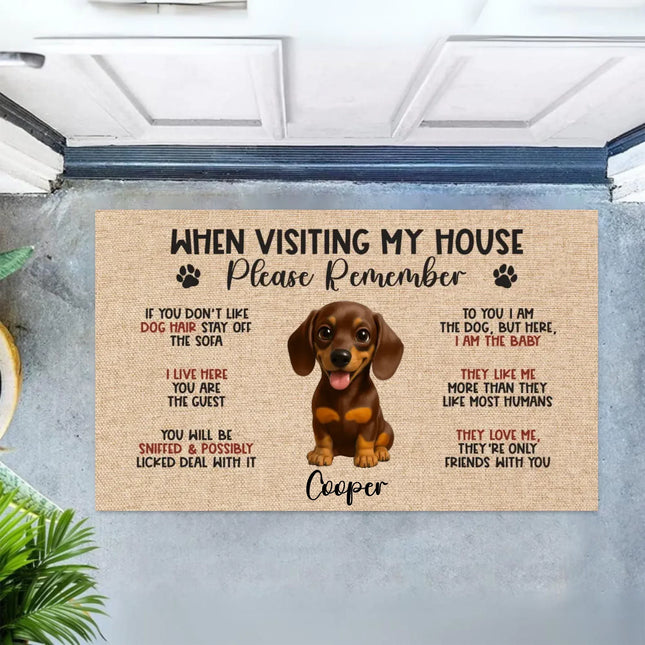 Personalized Dog Doormat, Custom Dog Doormat, Dog Funny Doormat, Welcome Mat, Personalized Doormat Gifts, When Visiting My House Mat - Charming Present