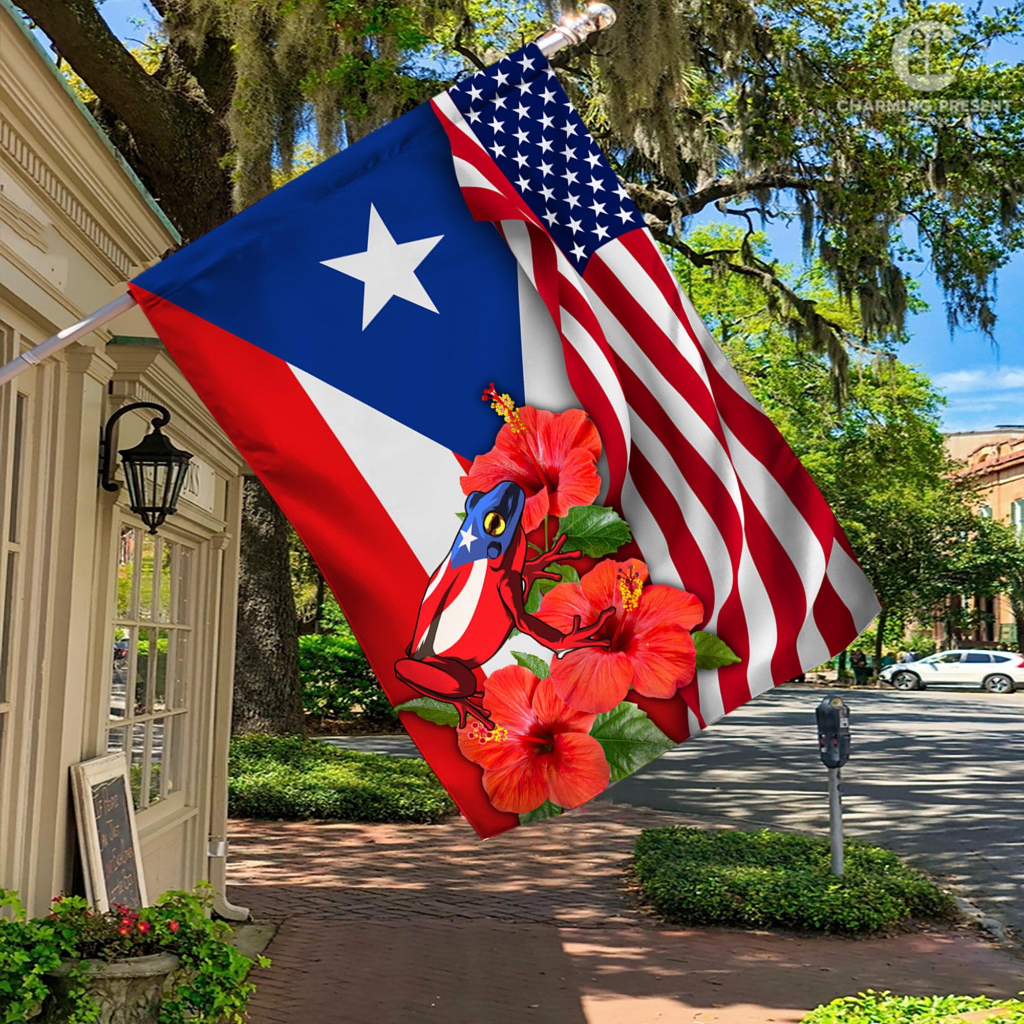 Puerto Rico Flag With Toad Frog And Hibiscus Flower - American Puerto Rico Decoration