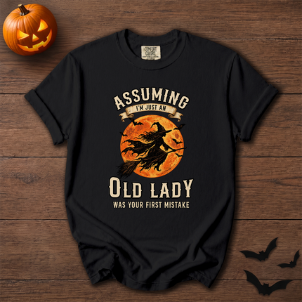 Comfort Colors Funny Old Lady Halloween Full Moon T-Shirt