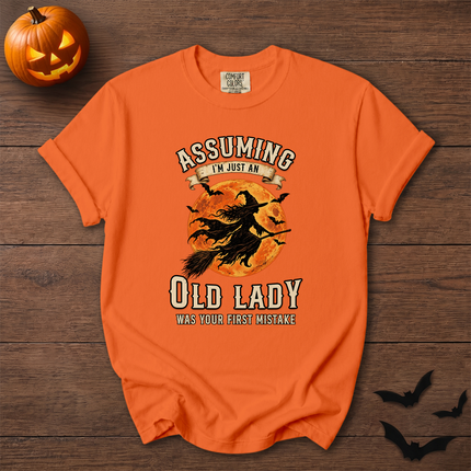 Comfort Colors Funny Old Lady Halloween Full Moon T-Shirt