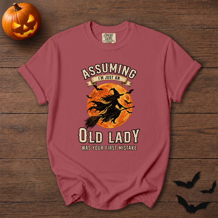 Comfort Colors Funny Old Lady Halloween Full Moon T-Shirt