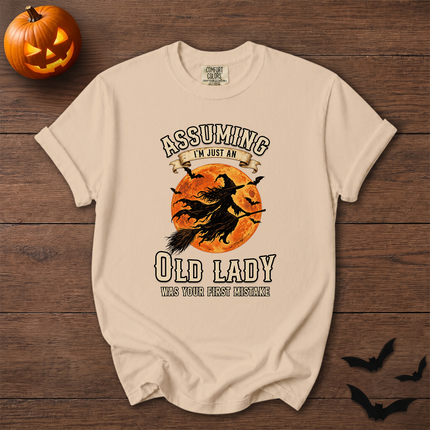 Comfort Colors Funny Old Lady Halloween Full Moon T-Shirt