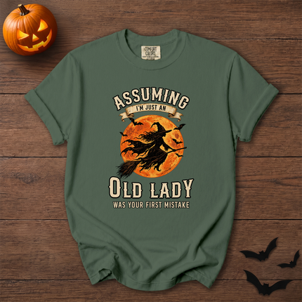 Comfort Colors Funny Old Lady Halloween Full Moon T-Shirt