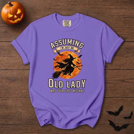 Comfort Colors Funny Old Lady Halloween Full Moon T-Shirt