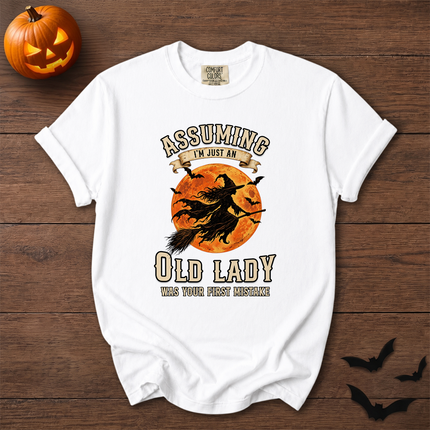 Comfort Colors Funny Old Lady Halloween Full Moon T-Shirt