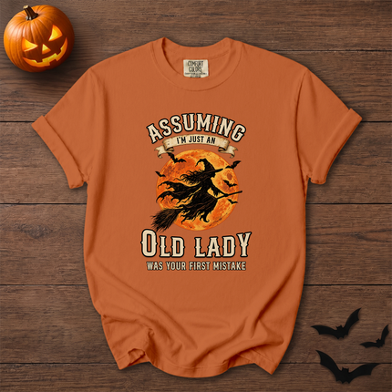 Comfort Colors Funny Old Lady Halloween Full Moon T-Shirt