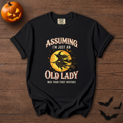 Comfort Colors Funny Old Lady Halloween Witch Moon T-Shirt