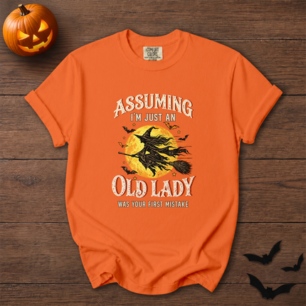 Comfort Colors Funny Old Lady Halloween Witch Moon T-Shirt