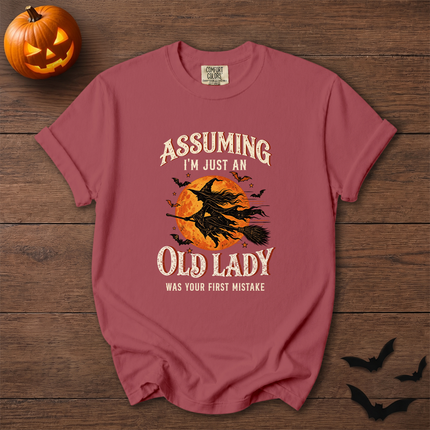 Comfort Colors Funny Old Lady Halloween Witch Moon T-Shirt