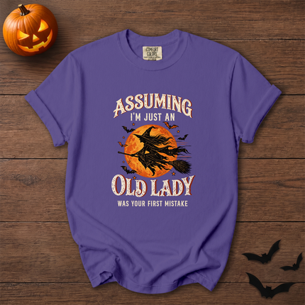 Comfort Colors Funny Old Lady Halloween Witch Moon T-Shirt