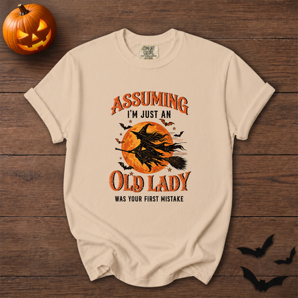 Comfort Colors Funny Old Lady Halloween Witch Moon T-Shirt