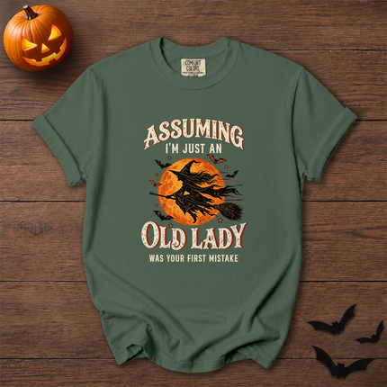 Comfort Colors Funny Old Lady Halloween Witch Moon T-Shirt