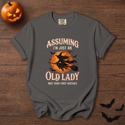 Comfort Colors Funny Old Lady Halloween Witch Moon T-Shirt