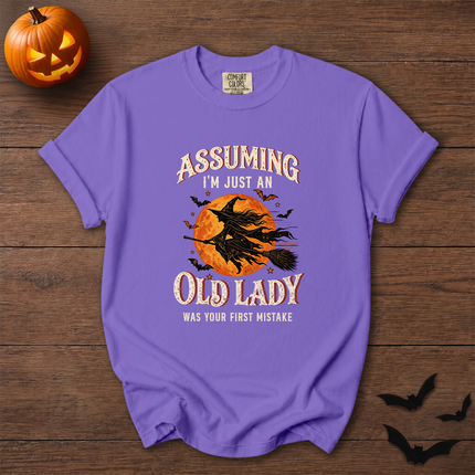 Comfort Colors Funny Old Lady Halloween Witch Moon T-Shirt