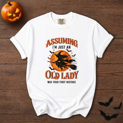 Comfort Colors Funny Old Lady Halloween Witch Moon T-Shirt