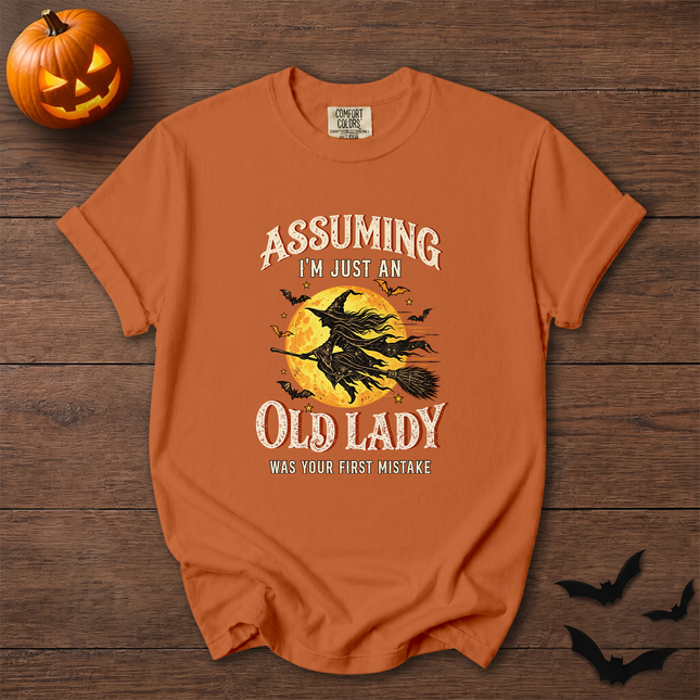 Comfort Colors Funny Old Lady Halloween Witch Moon T-Shirt