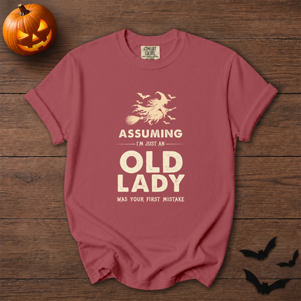 Comfort Colors Funny Old Lady Witch Halloween T-Shirt