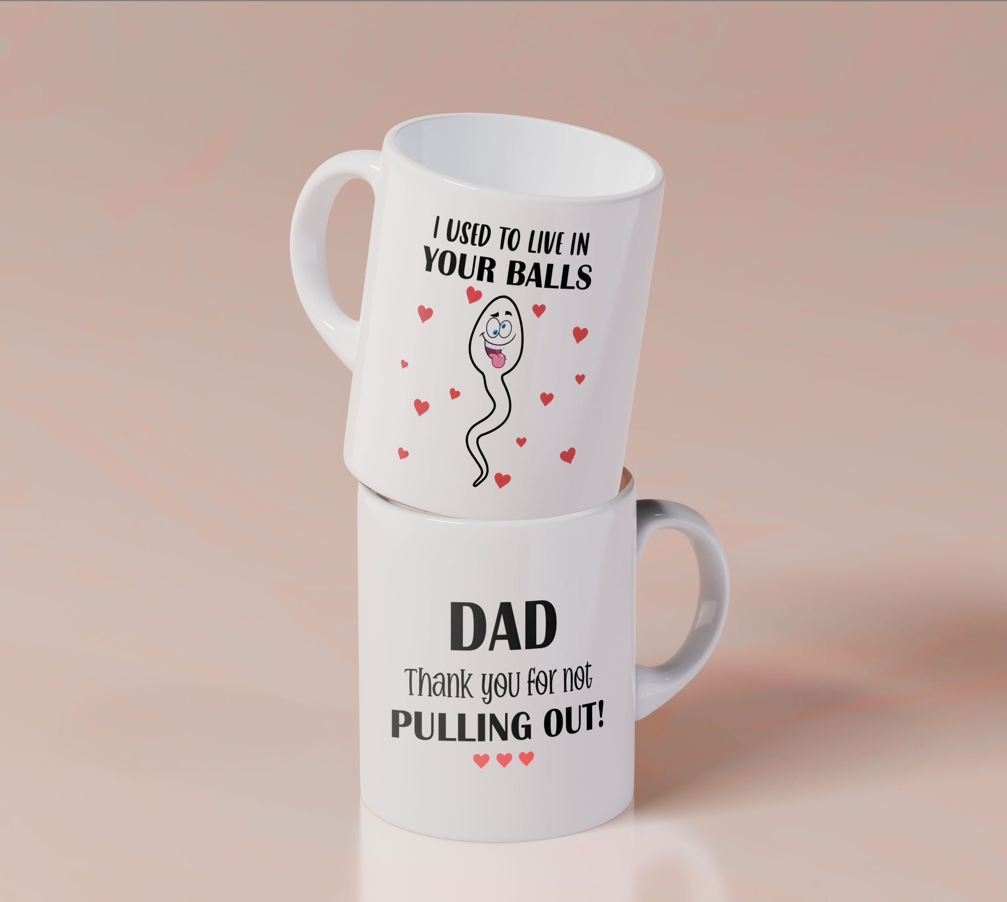 Thank You For Not Pulling Out Dad - Mug MG06