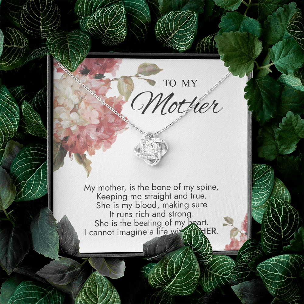 To My Mother I Cannot Imagine A Life Without YOU Necklace SO80